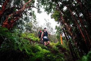 BIB: 
                            <button type="button" onclick="openModal(26202470)" class="btn btn-primary btn-sm float-right btn-popup" data-toggle="modal" data-target=".modal-high-quality">
                        <i class="fas fa-shopping-cart"></i> Add to Cart
                    </button>
                                            <button type="button" onclick="isThisMe(26202470, true)" class="btn btn-success btn-sm float-right btn-popup btn-isme hidden" data-toggle="tooltip" data-placement="bottom" title="นี่คือรูปของคุณใช่ไหม คลิกที่นี่เพื่อเอาเข้าอัลบั้ม">
                        <i class="fas fa-plus"></i> Add to album
                    </button>
                    <button type="button" onclick="isThisMe(26202470, false)" class="btn btn-warning btn-sm float-right btn-popup btn-isnotme hidden">
                        <i class="fas fa-ban"></i> Remove from album
                    </button>